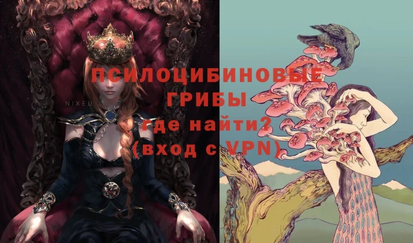 прущие крисы Алексин