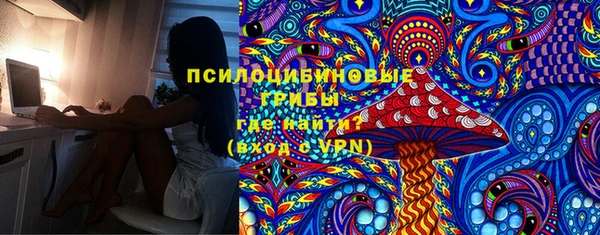прущие крисы Алексин