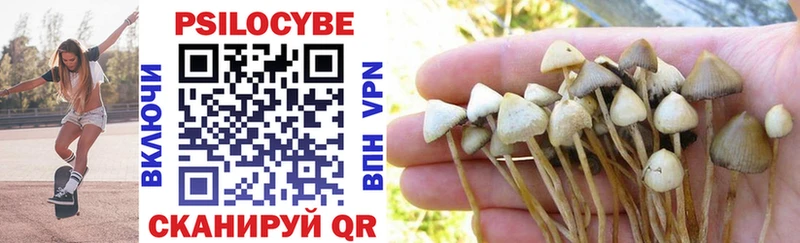 Псилоцибиновые грибы Psilocybe  hydra сайт  Инсар 