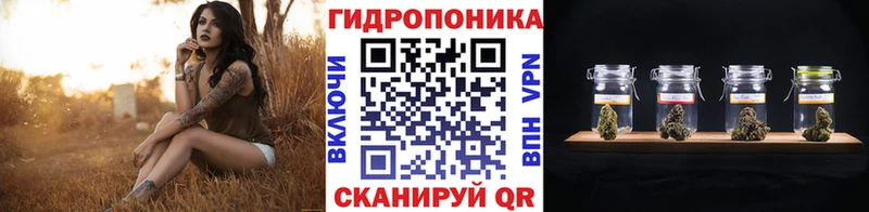 купить наркоту  Инсар  Конопля тримм 